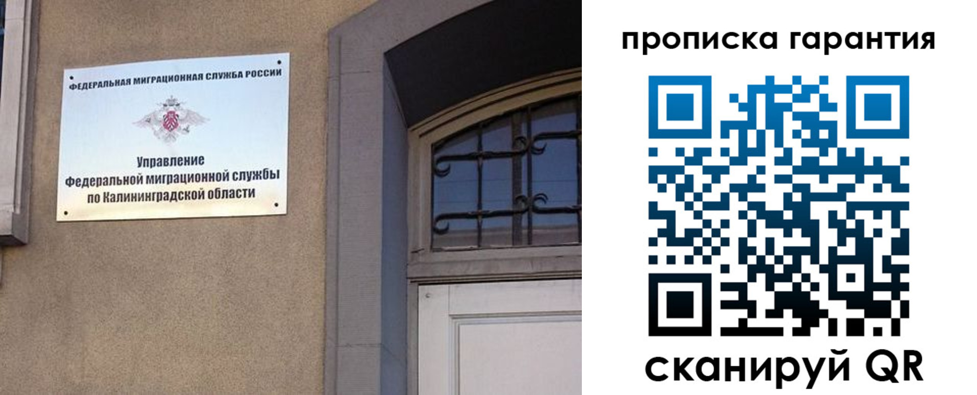 прописка иностранных граждан в Светлогорске